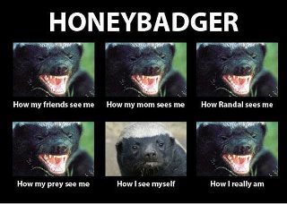 HoneyBadger