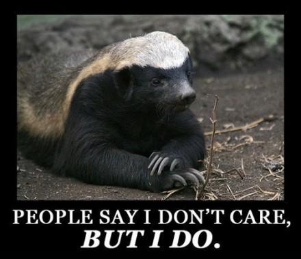 HoneyBadger2