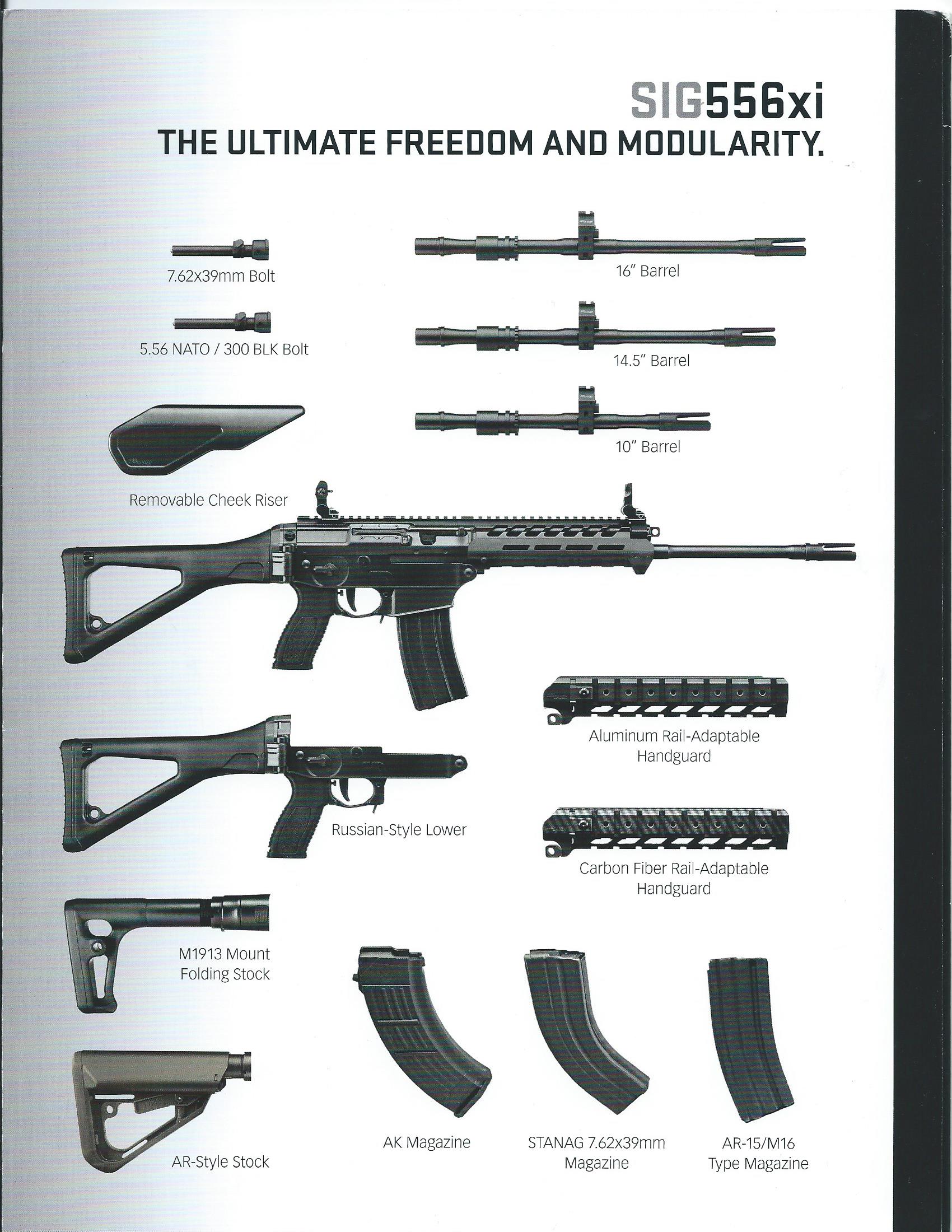 Sig mpx stock options